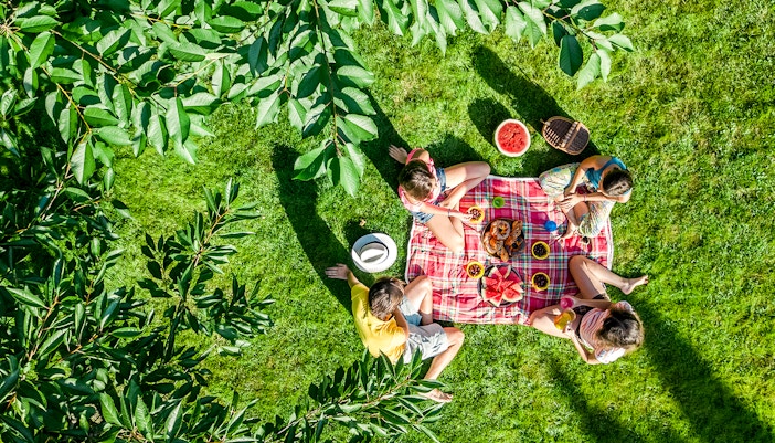Have a picnic - Schonbrunn Zoo