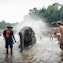 Bathe the elephants