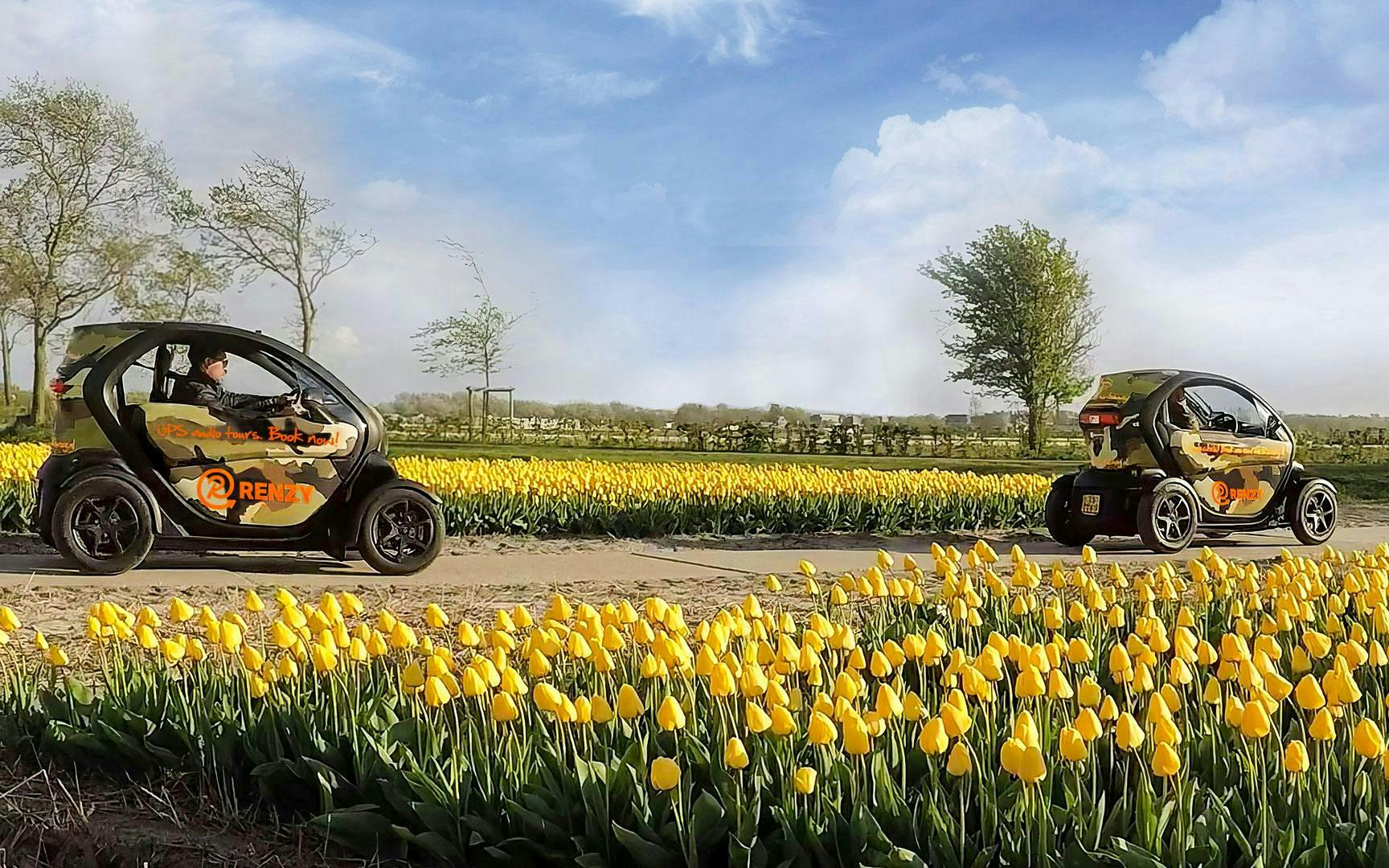 Self-drive tour cars among yellow tulip fields in Keukenhof.