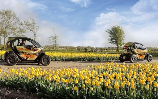 Self-drive tour cars among yellow tulip fields in Keukenhof.