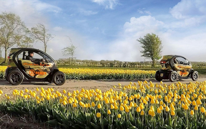 Self-drive tour cars among yellow tulip fields in Keukenhof.
