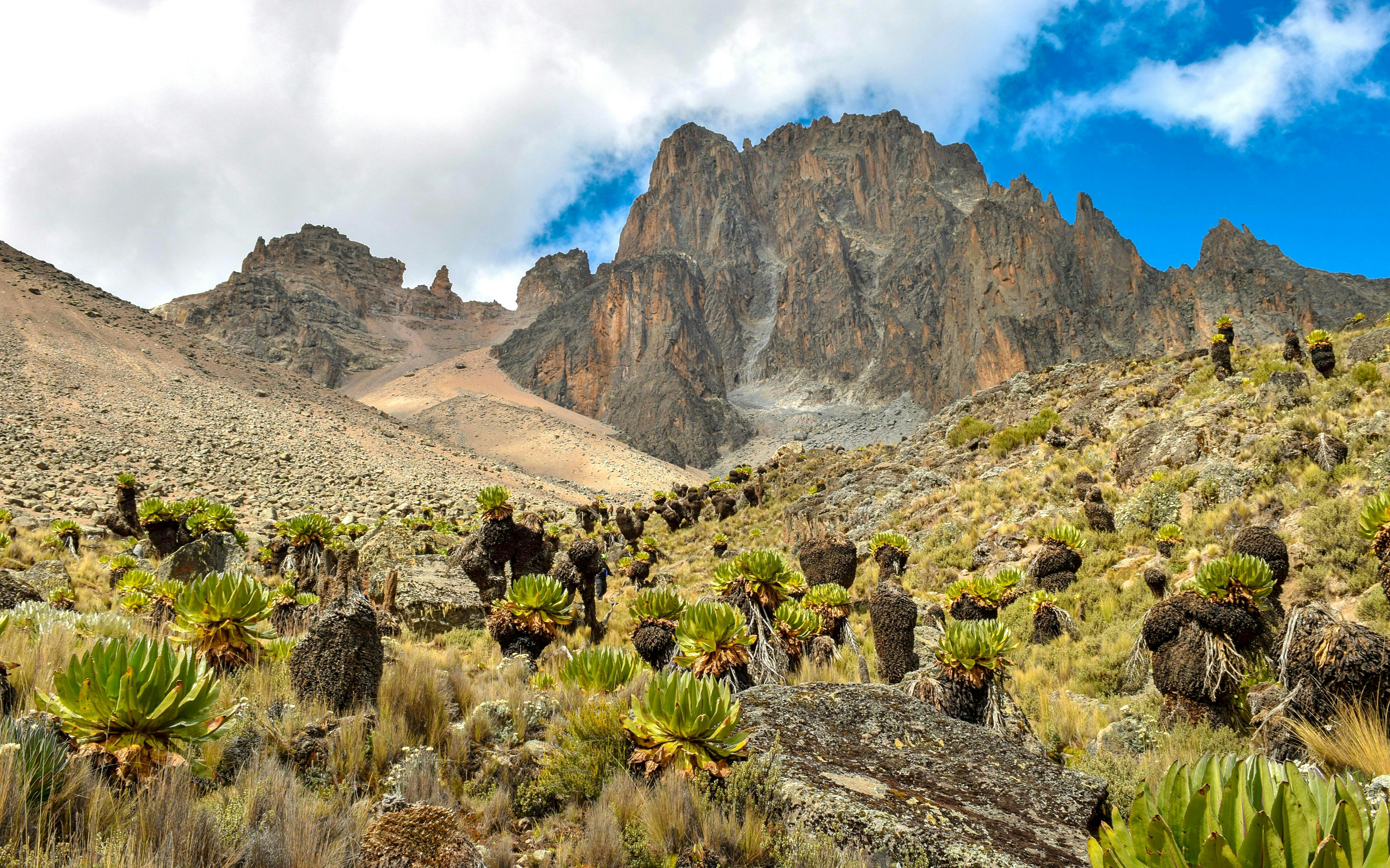Majestic rocky peaks and giant groundsels in Mount Kenya National Park, Kenya.