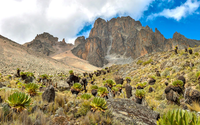 Majestic rocky peaks and giant groundsels in Mount Kenya National Park, Kenya.