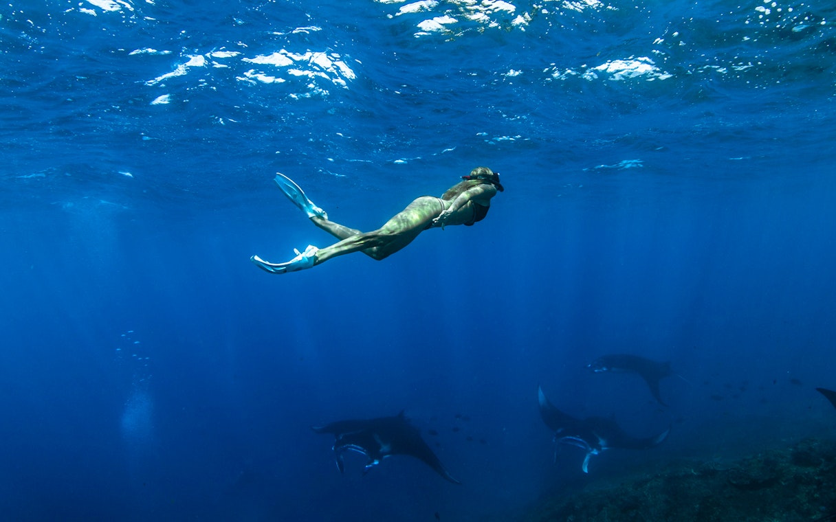 Diver exploring marine life with manta rays at Nusa Penida Manta Point.