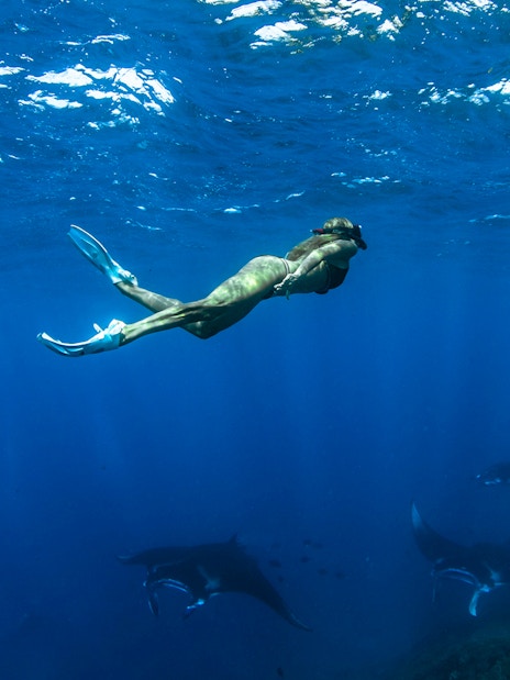 Diver exploring marine life with manta rays at Nusa Penida Manta Point.