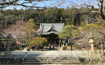 Shuzenji Temple entrance surrounded by trees, Japan, accessible with Jr Kansai Mini Pass.