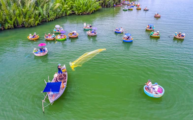 Aerial view of Hoi An fishing net activity with round boats on green water.