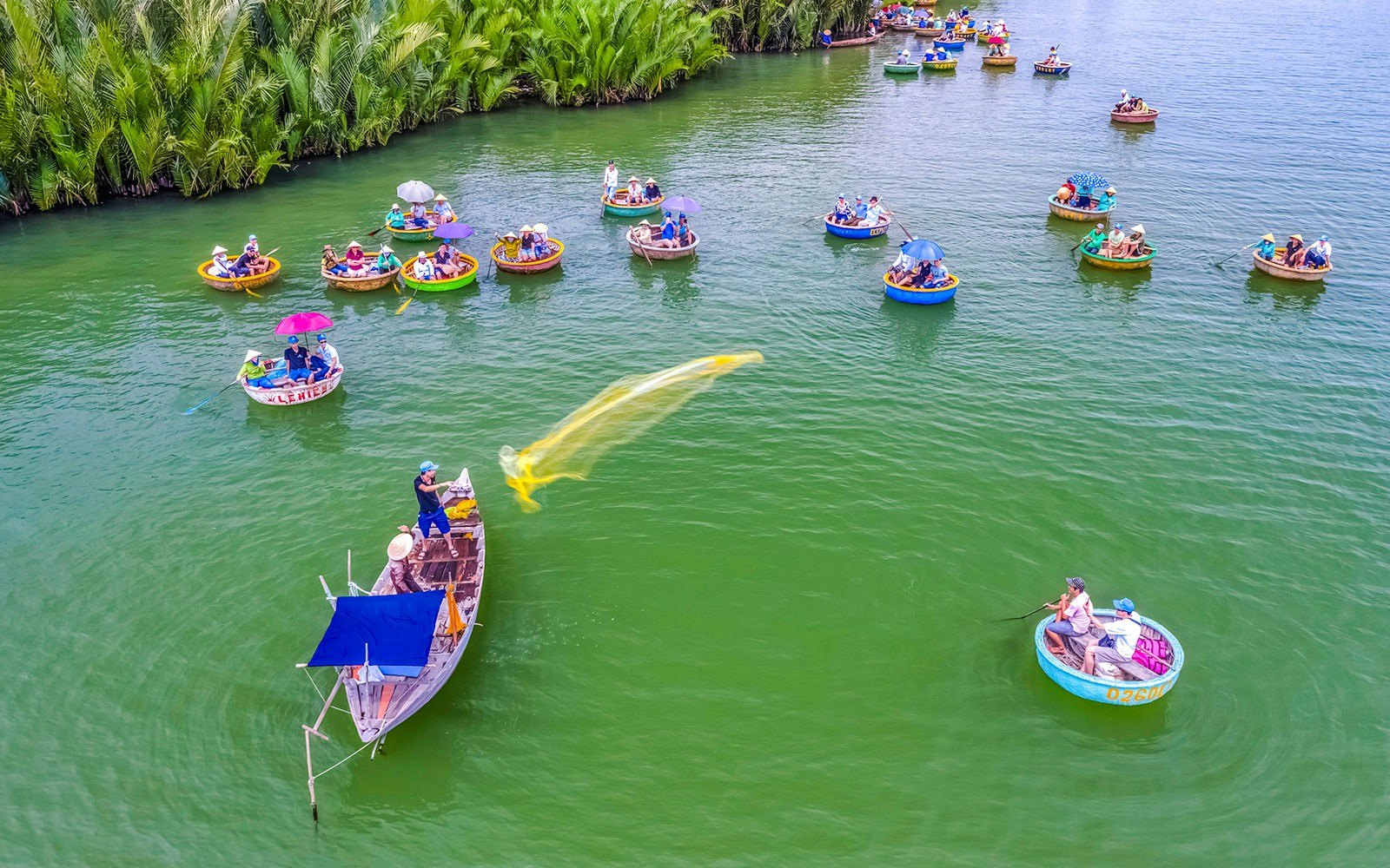 Aerial view of Hoi An fishing net activity with round boats on green water.