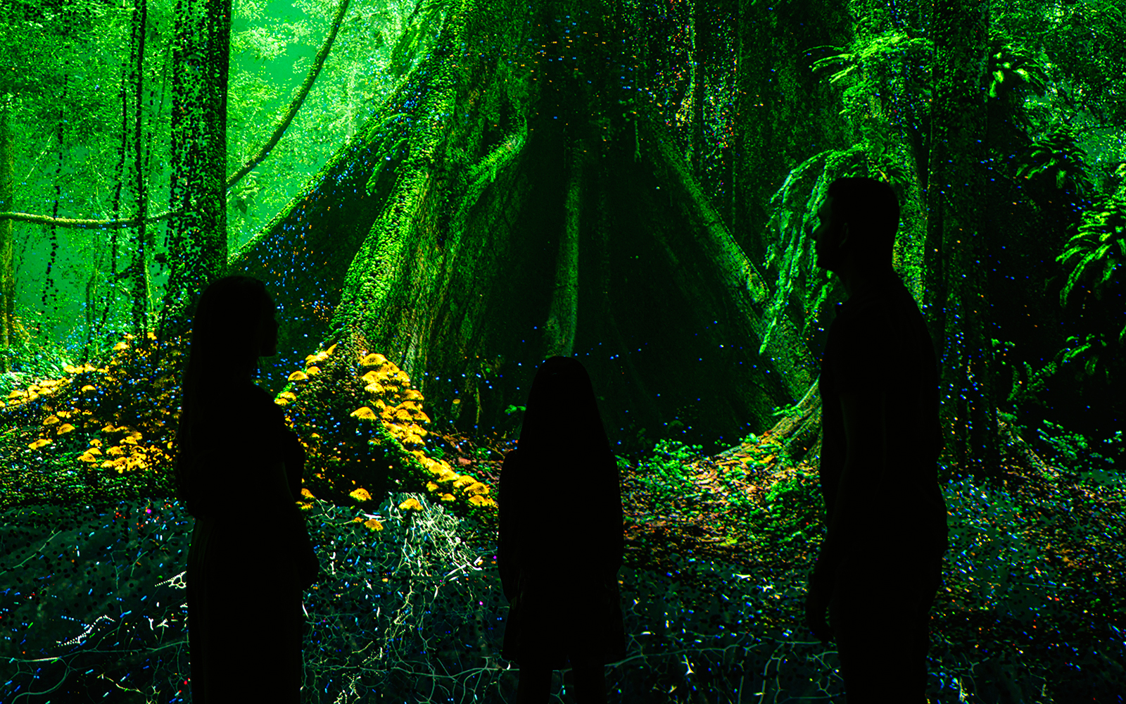 Visitors exploring digital rainforest exhibit at Museum of the Future.