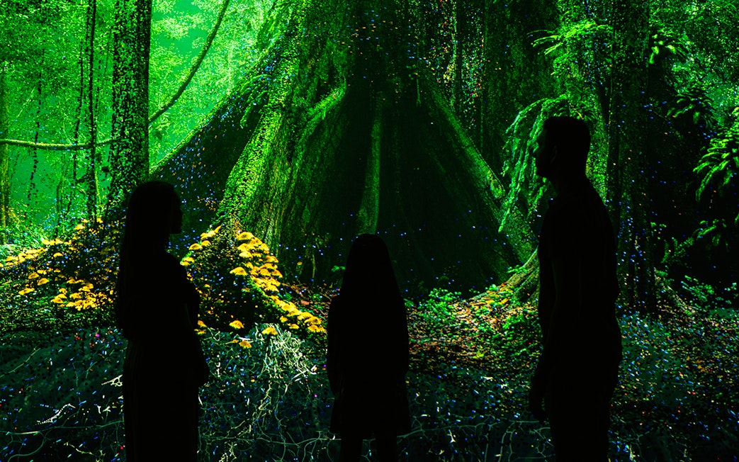 Visitors exploring digital rainforest exhibit at Museum of the Future.