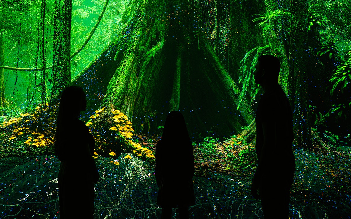 Visitors exploring digital rainforest exhibit at Museum of the Future.