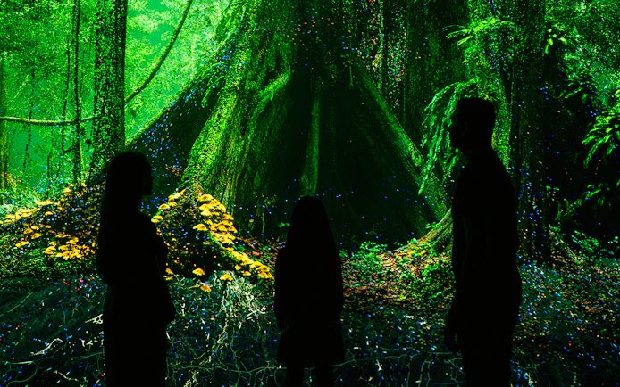 Visitors exploring digital rainforest exhibit at Museum of the Future.