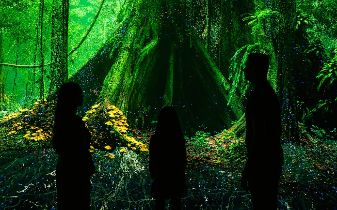 Visitors exploring digital rainforest exhibit at Museum of the Future.