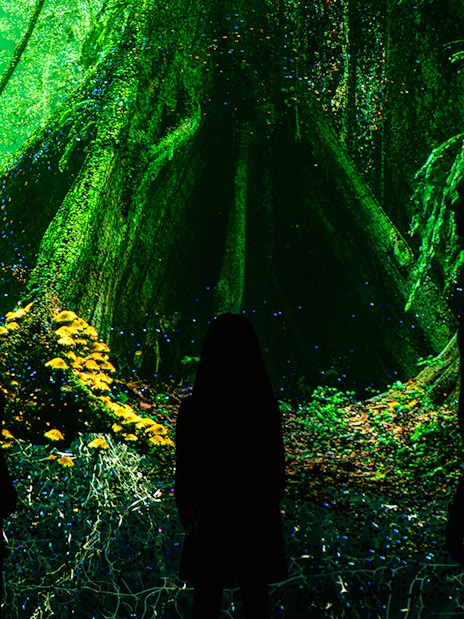 Visitors exploring digital rainforest exhibit at Museum of the Future.
