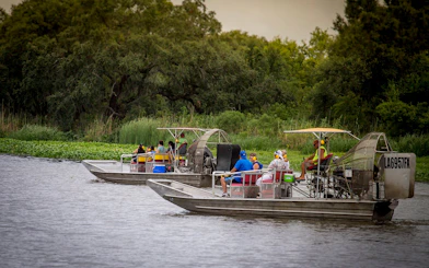 Airboats with tourists exploring a swamp near New Orleans.