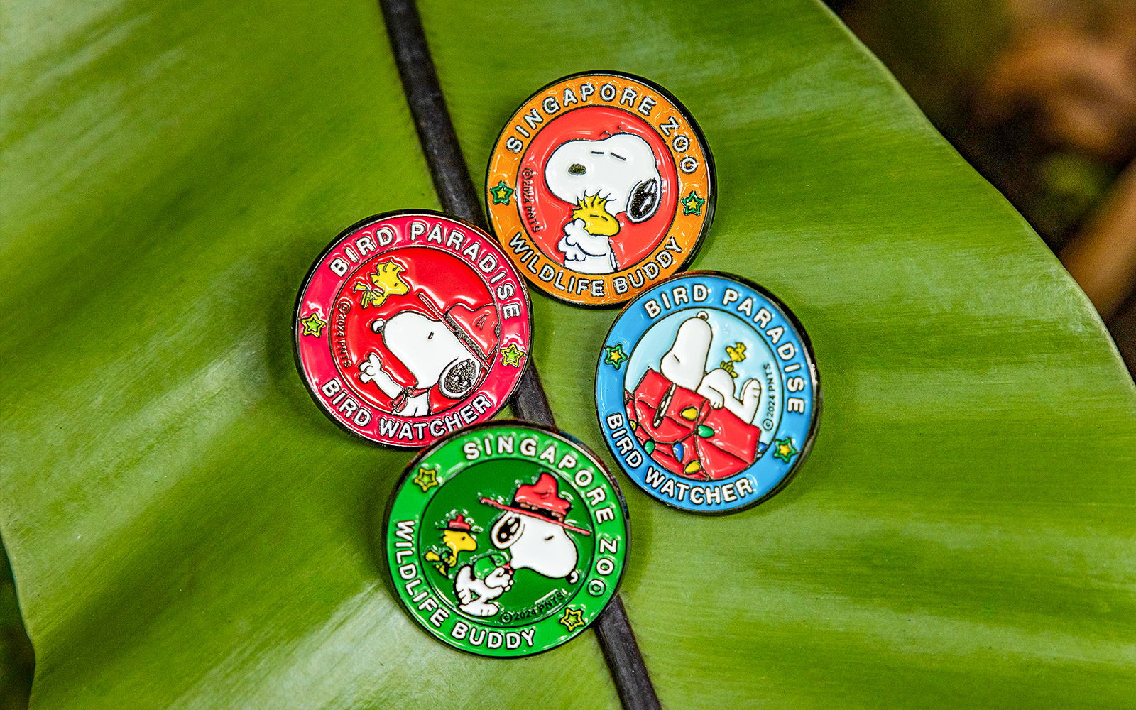 Snoopy Beagle Scouts badges from Singapore Zoo and Bird Paradise on a leaf.