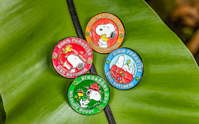 Snoopy Beagle Scouts badges from Singapore Zoo and Bird Paradise on a leaf.
