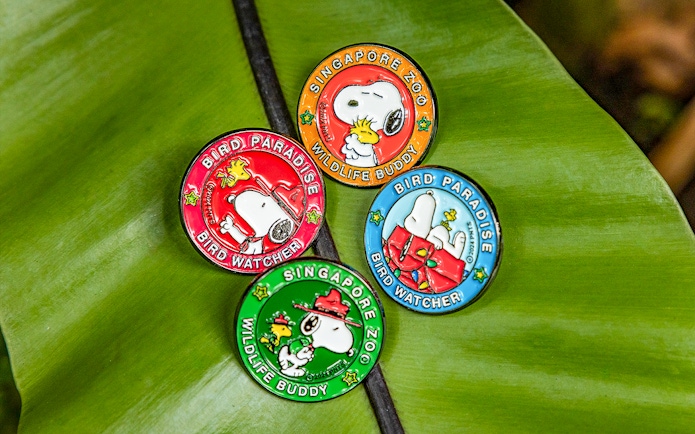 Snoopy Beagle Scouts badges from Singapore Zoo and Bird Paradise on a leaf.
