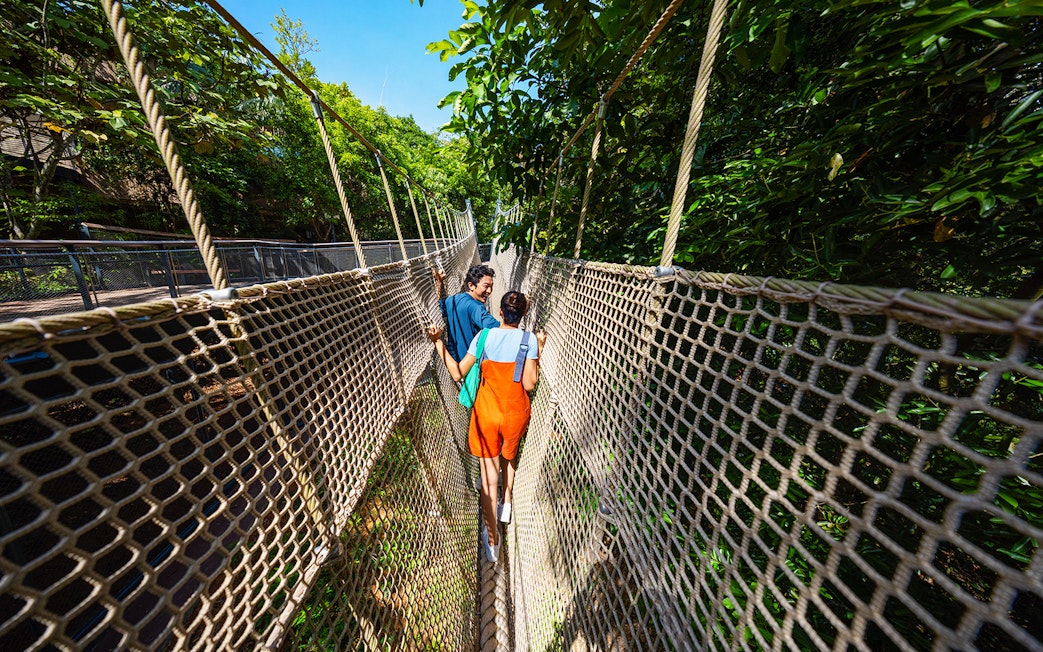 People walking on a rope bridge in the Rainforest Wild ASIA, surrounded by lush greenery.