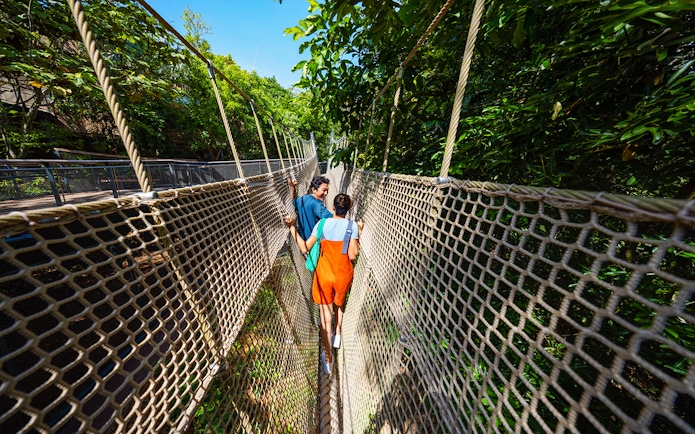 People walking on a rope bridge in the Rainforest Wild ASIA, surrounded by lush greenery.