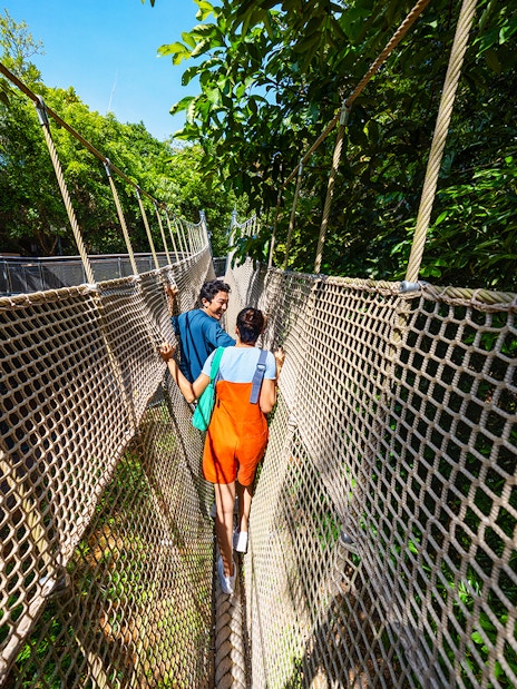 People walking on a rope bridge in the Rainforest Wild ASIA, surrounded by lush greenery.