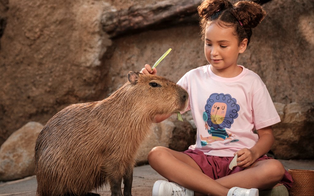 Child feeding capybara at Bali Zoo.