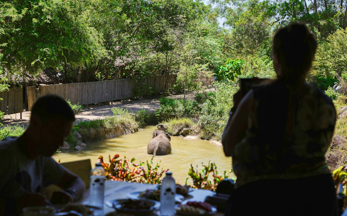 Elephant bathing in a pond at Bukit Elephant Park, viewed from a dining area.