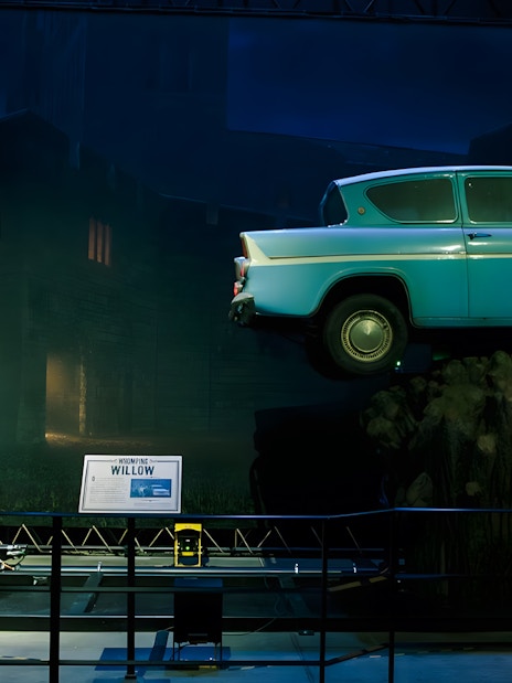 Flying car near the Whomping Willow at Warner Bros Studio, London.