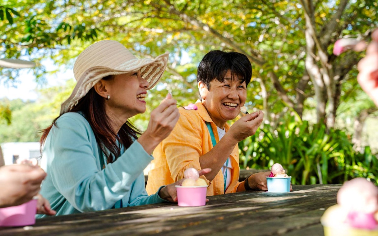 waterfall, wetlands and skyrail-5