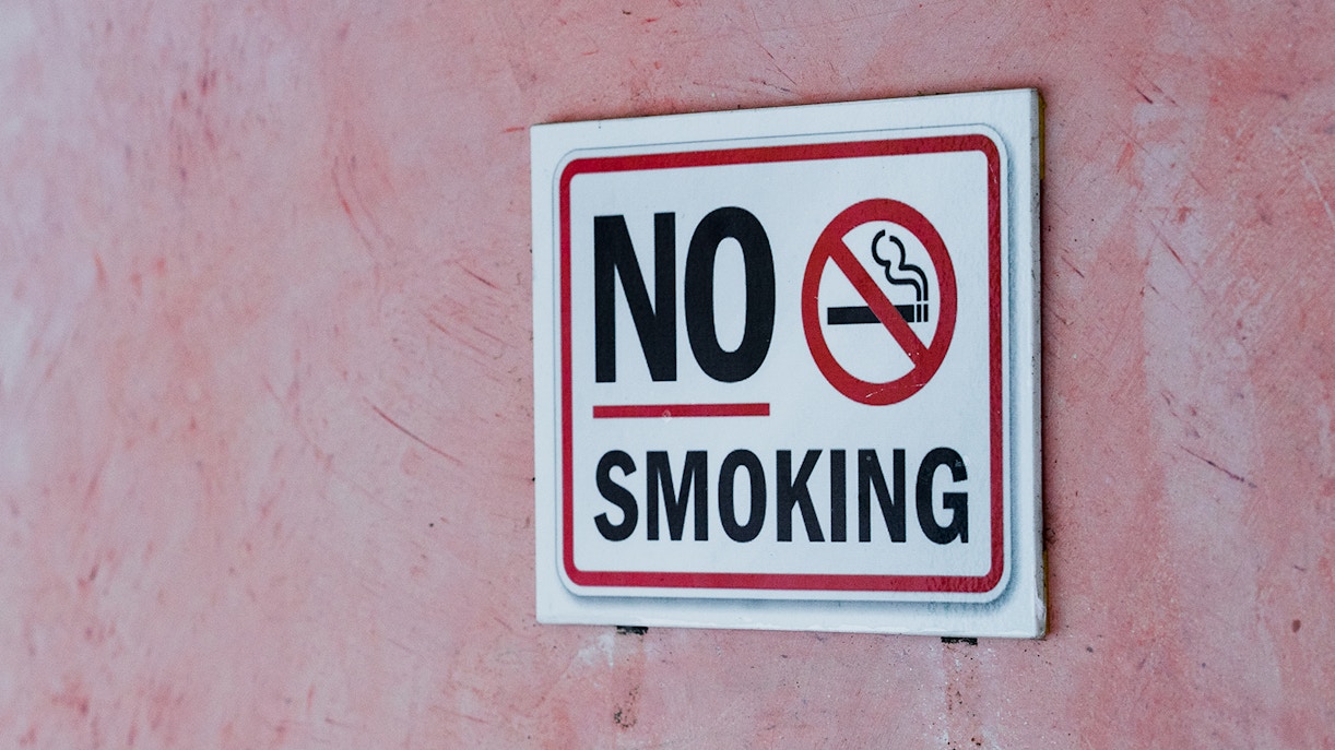 Belvedere Palace rules