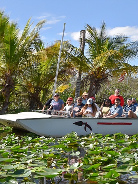 Tourists on an airboat ride through Everglades Safari Park, Miami, surrounded by palm trees and water lilies.