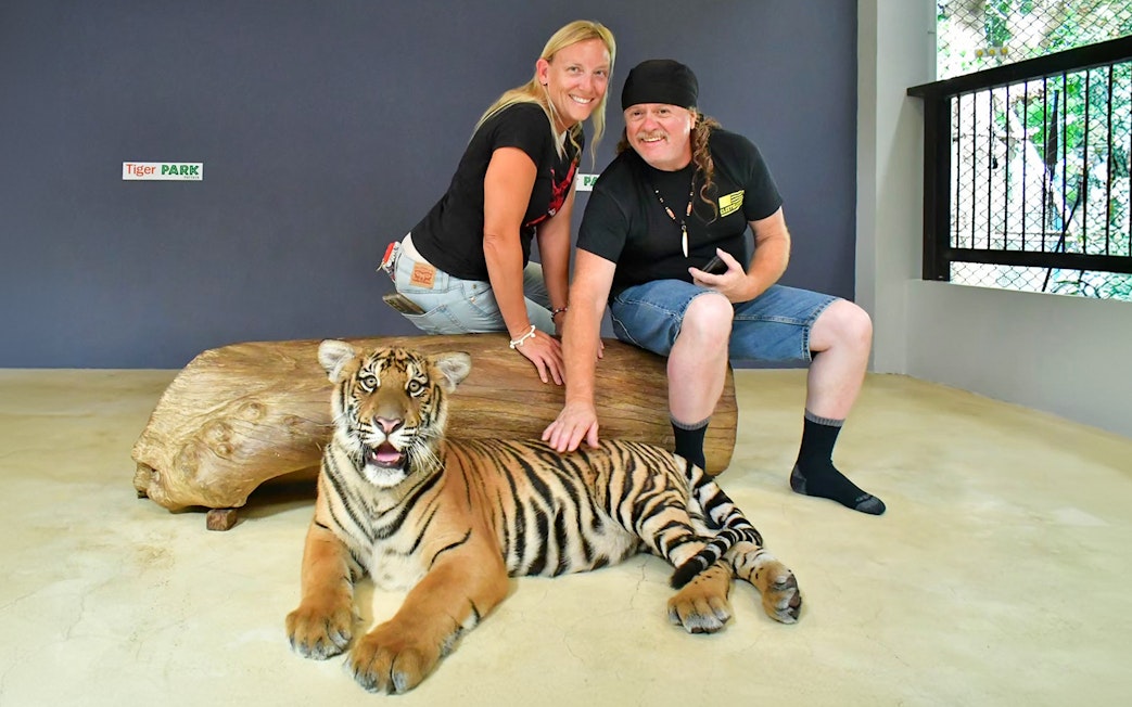 Visitors interacting with a tiger at Tiger Park Pattaya.