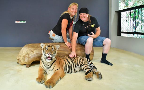 Visitors interacting with a tiger at Tiger Park Pattaya.