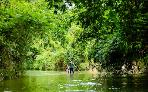 Bamboo rafting through lush greenery in Phuket, part of the Sky Rock Khao Lak adventure tour.