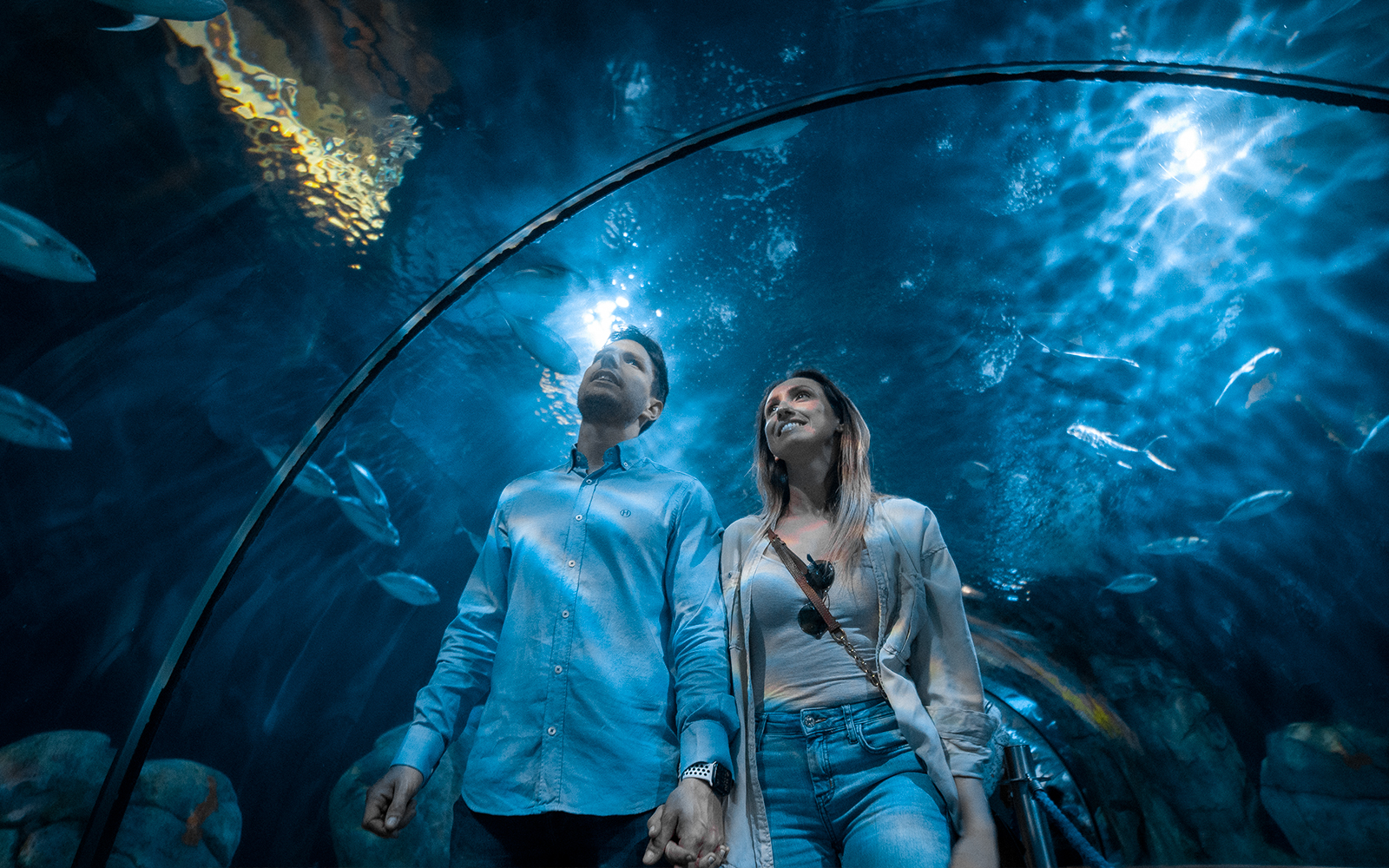 Couple observing marine life at Oceanogràfic Valencia aquarium.