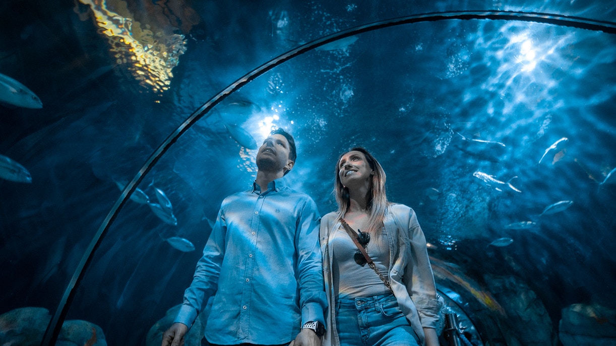 Oceanografic Valencia Visitor Tips