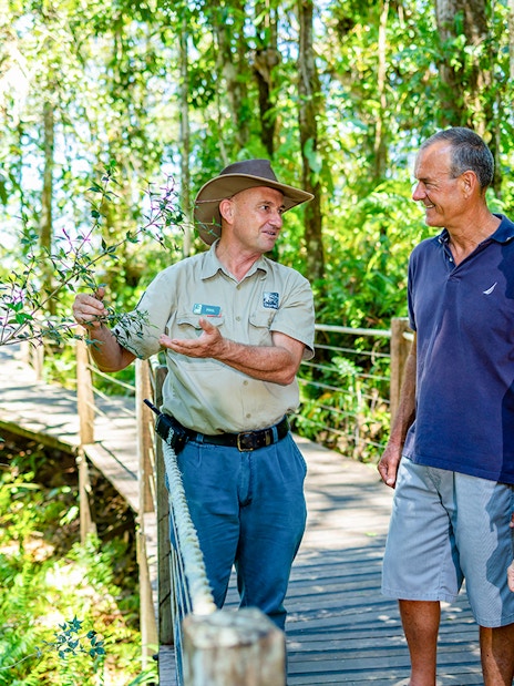 Guide explaining rainforest plants to tourists on Kuranda tour from Cairns.