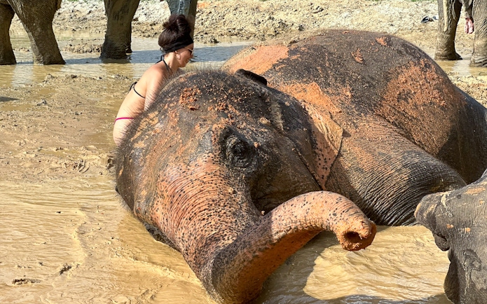 Woman interacting with an elephant in a muddy waterhole.