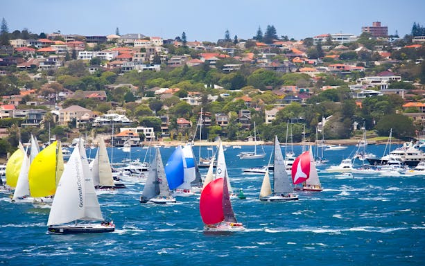 Sailboats racing in the Sydney to Hobart Yacht Race with coastal homes in the background.