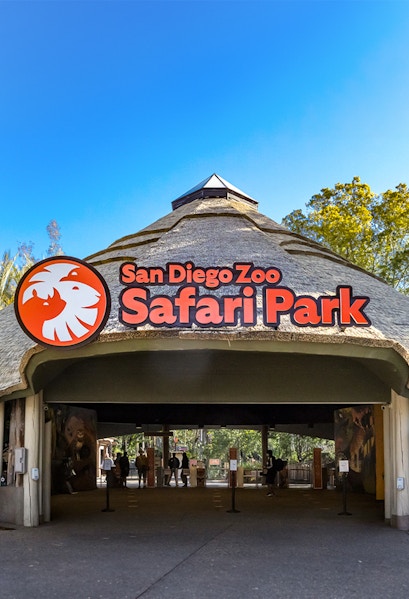San Diego Zoo Safari Park entrance with thatched roof and signage.
