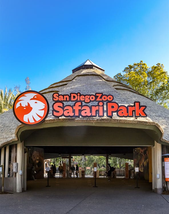 San Diego Zoo Safari Park entrance with thatched roof and signage.
