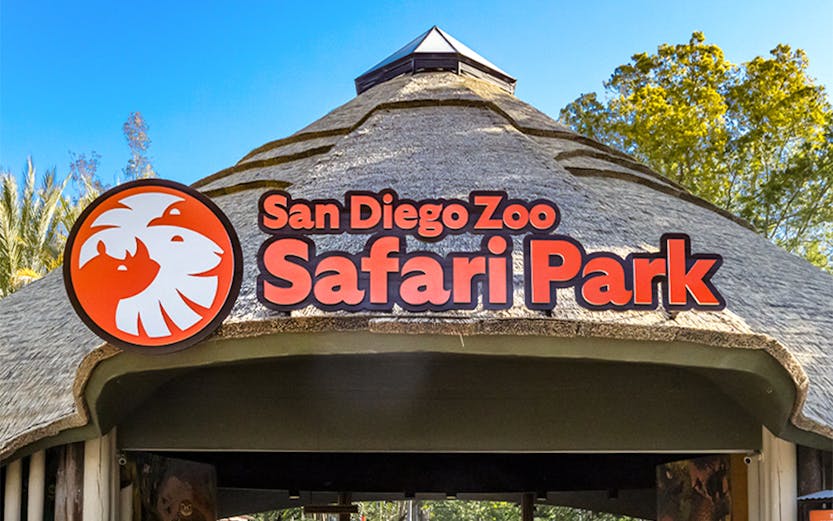 San Diego Zoo Safari Park entrance with thatched roof and signage.