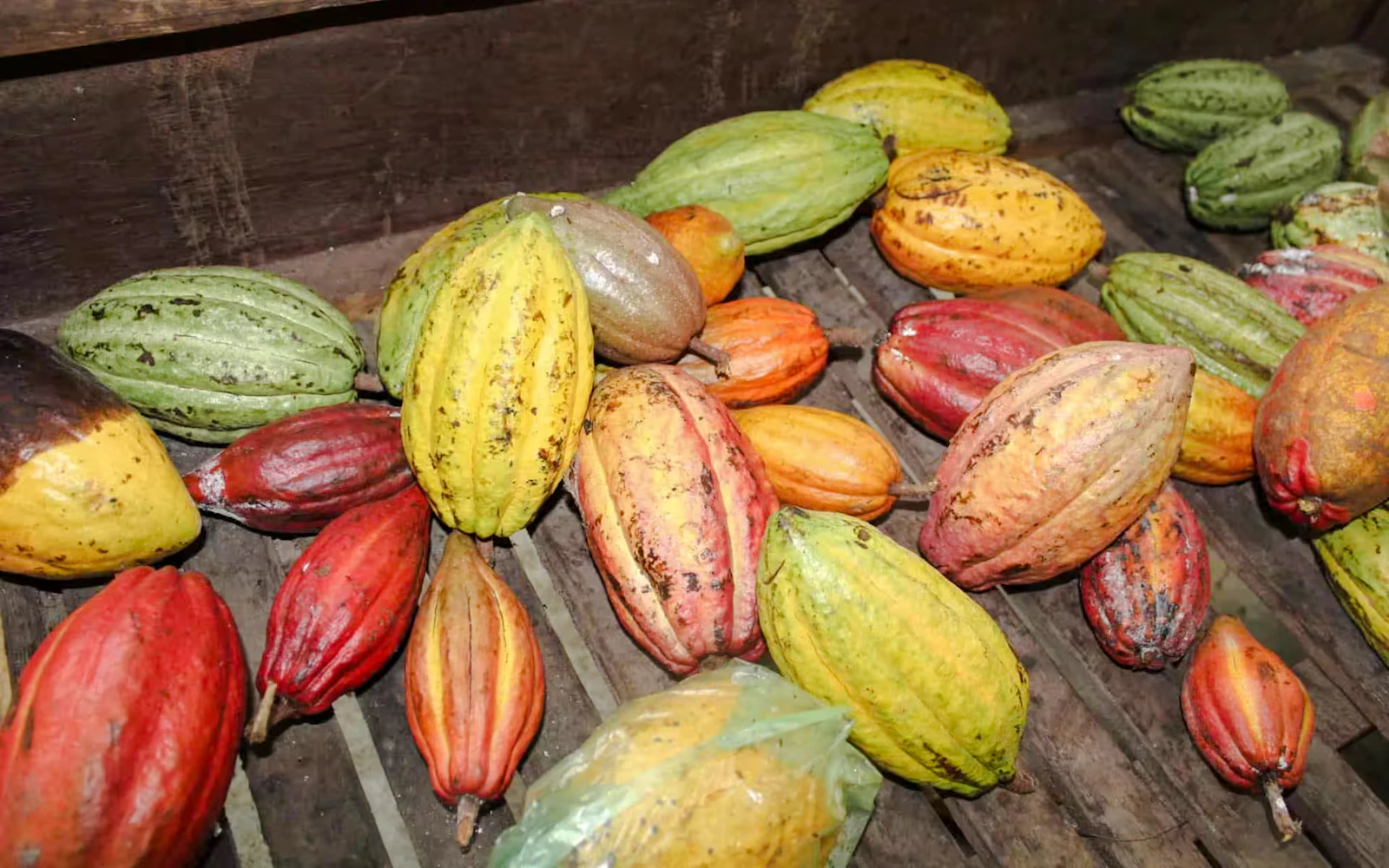 Ho Chi Minh City Chocolate-Making Cooking Class (Product 53706)