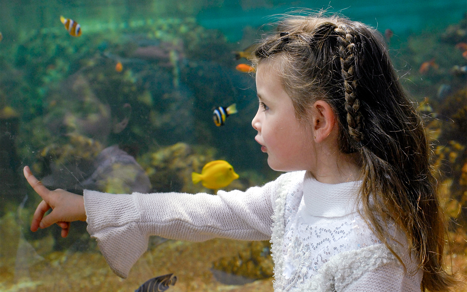 Marineland of Antibes