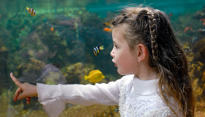 Marineland of Antibes