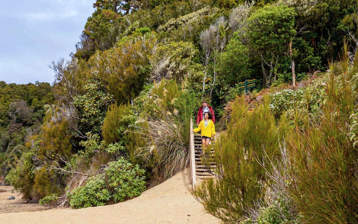 Tourists descending wooden stairs through lush greenery to reach the beach.