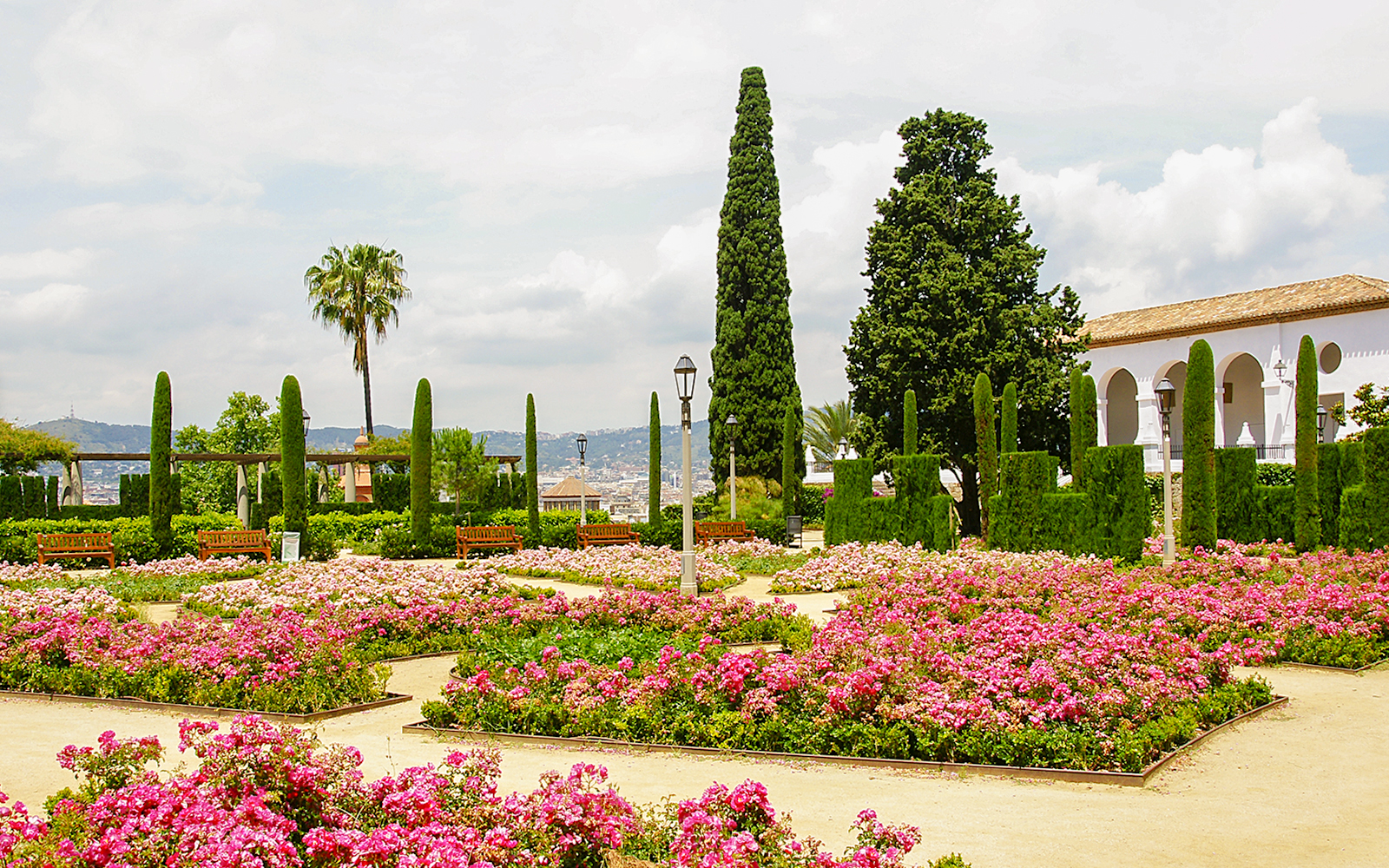 Rose garden in Teatre Grec, Montjuic, Barcelona with benches and cypress trees.