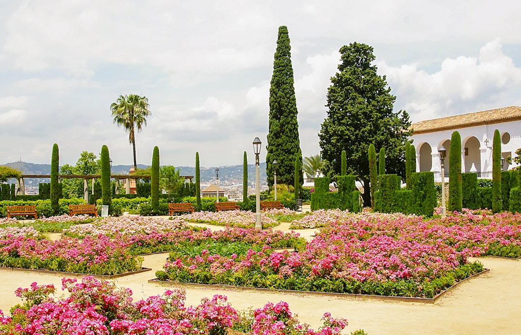 Rose garden in Teatre Grec, Montjuic, Barcelona with benches and cypress trees.