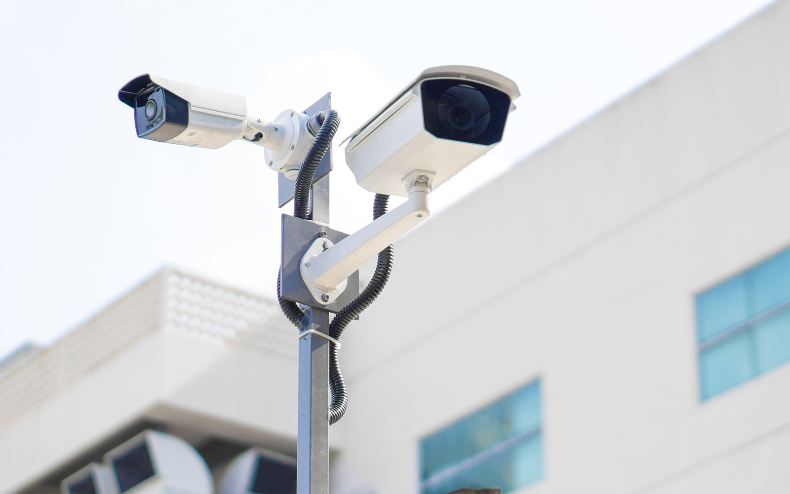 Museum of Oriental Art Turin - Restoration Works