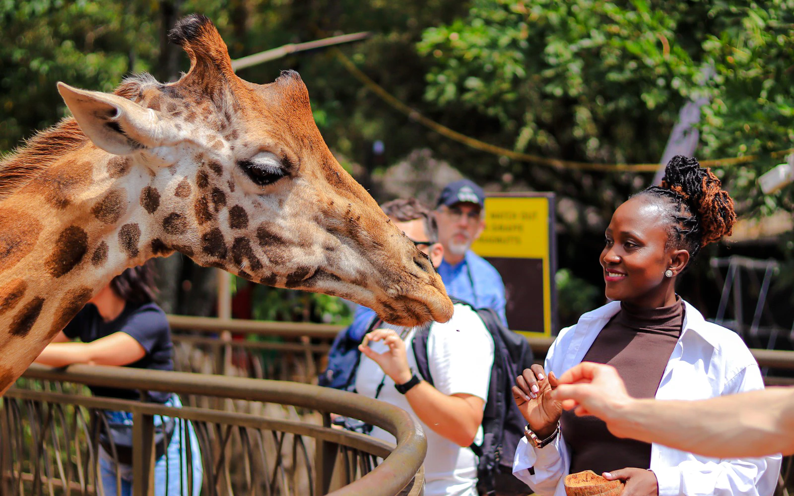 Nairobi: Giraffe Centre, Karen Blixen Museum & Kazuri Beads Factory Tour with Round-Trip Transfers (Product 56404)